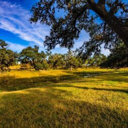 11-to-25-acres-Land